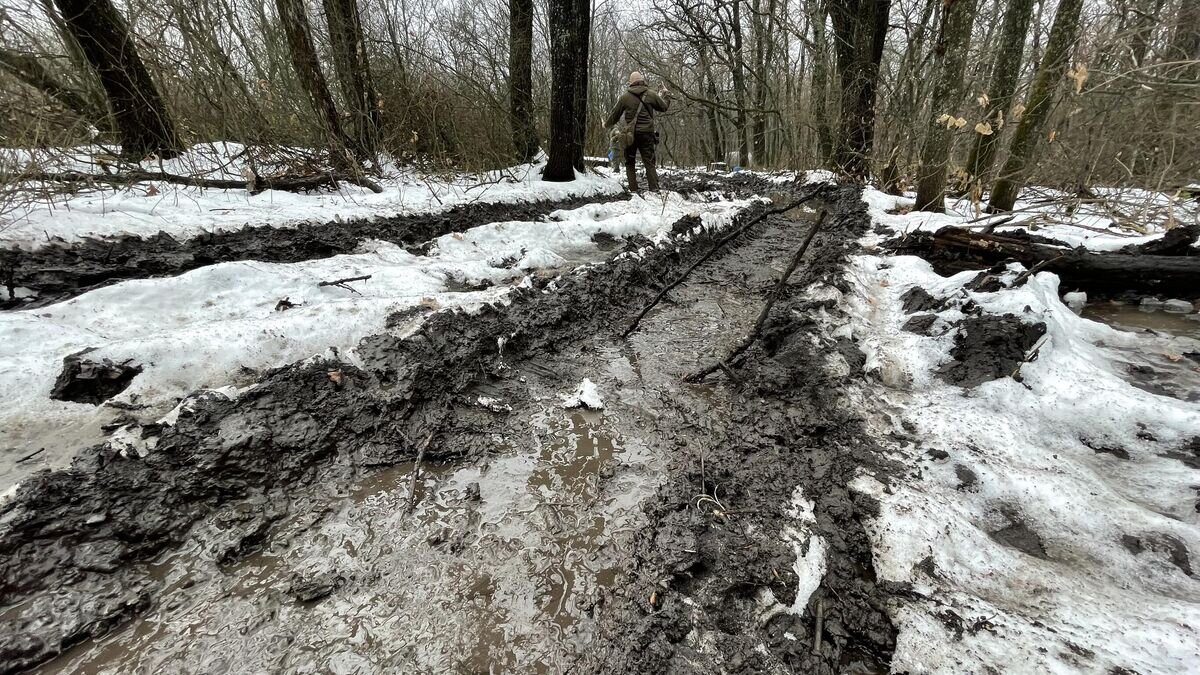    Дорога к позициям артиллеристов на сватовском рубеже© РИА Новости / Андрей Коц
