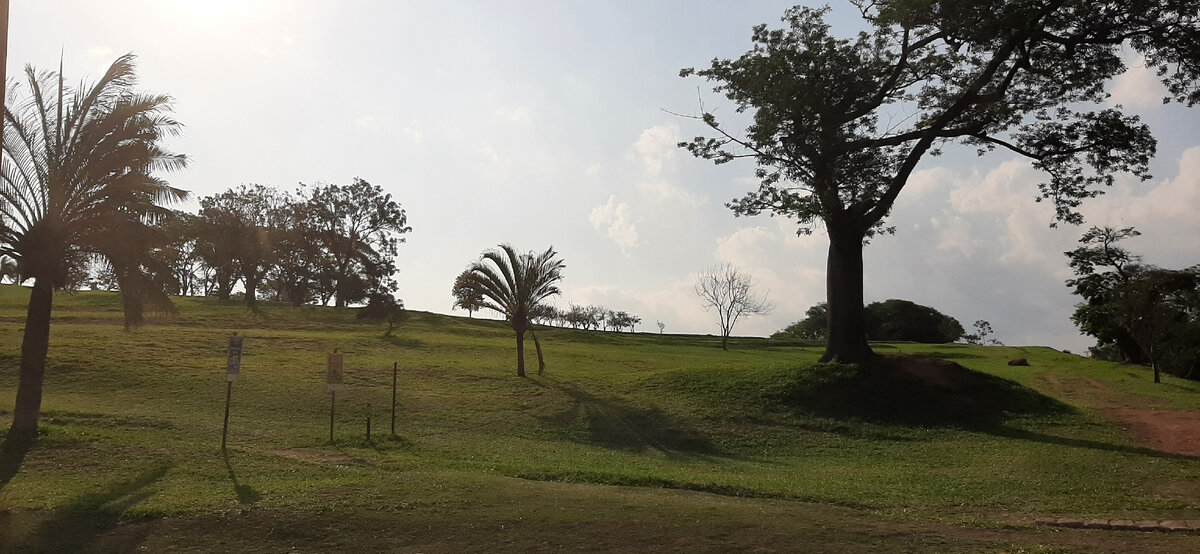 Пост я буду разбавлять бразильскими фото, сделанными мною.