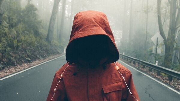   © Photo : Рixabay/StockSnap