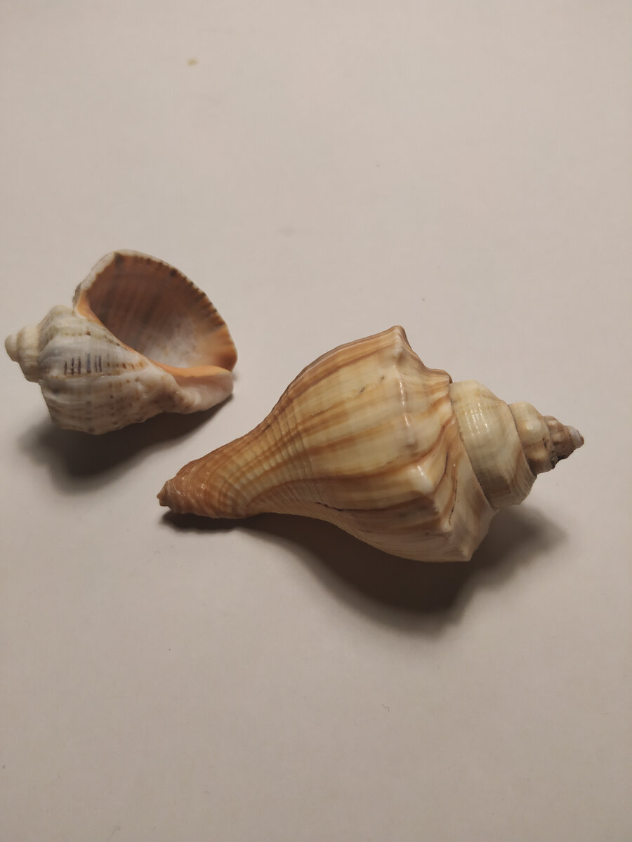 Из личного архива.