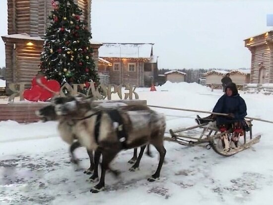     Фото: Вести-Ямал.