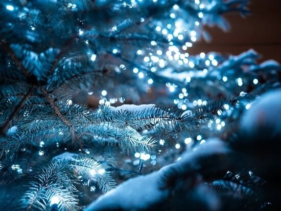     Фото: ru.freepik.com