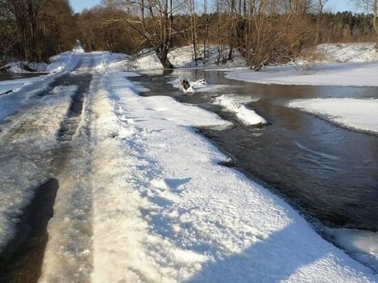     Фото: Вячеслава Парфенова