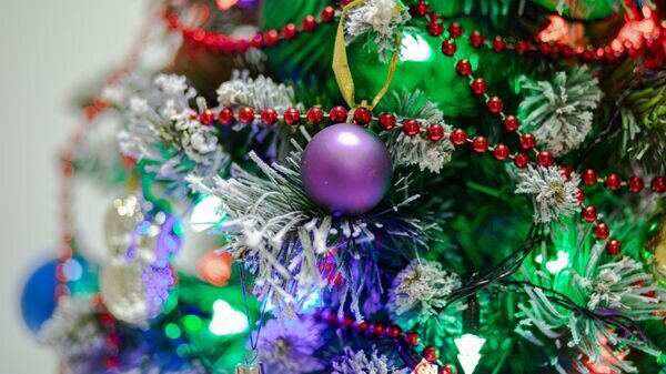   © Sputnik / Mihai Caraus