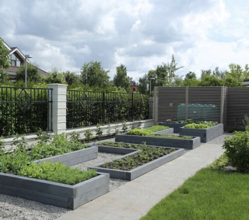 Фото из сети 