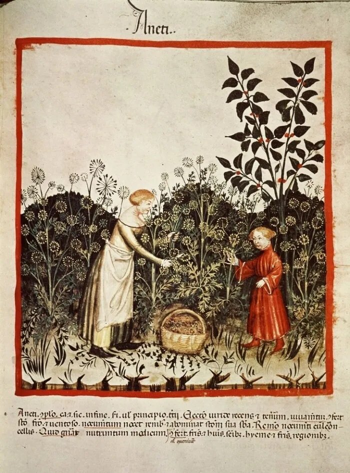 Это сегодня дети – короли, цари и императоры, причем не только для своих семей, но и для общества в целом.-16