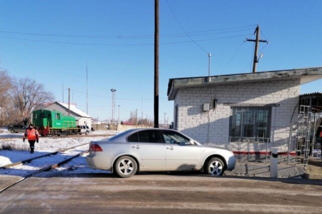   Фото: ГУ МВД по Волгоградской области