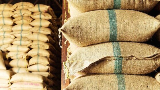    Посол РФ заявил об отсутствии прогресса в реализации российской части "зерновой сделки" Ирина Петрова