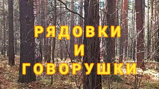 РЯДОВКИ И ГОВОРУШКИ. Сериал 