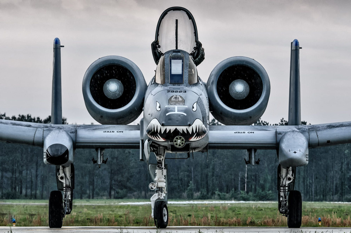 Штурмовик бородавочник. Штурмовик a-10c Thunderbolt 2. A-10 Thunderbolt. A10 Thunderbolt 2. Самолет а-10 Тандерболт.