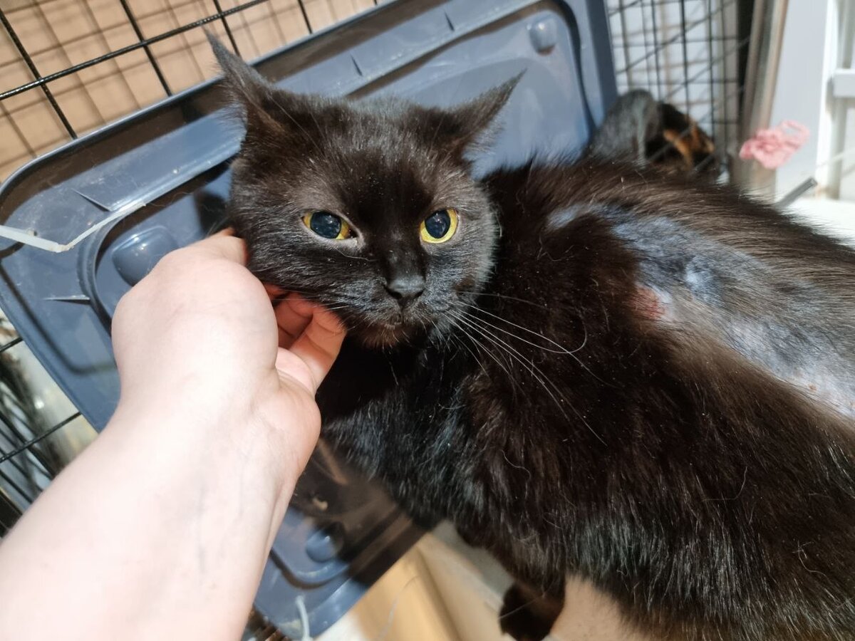 Миля сейчас