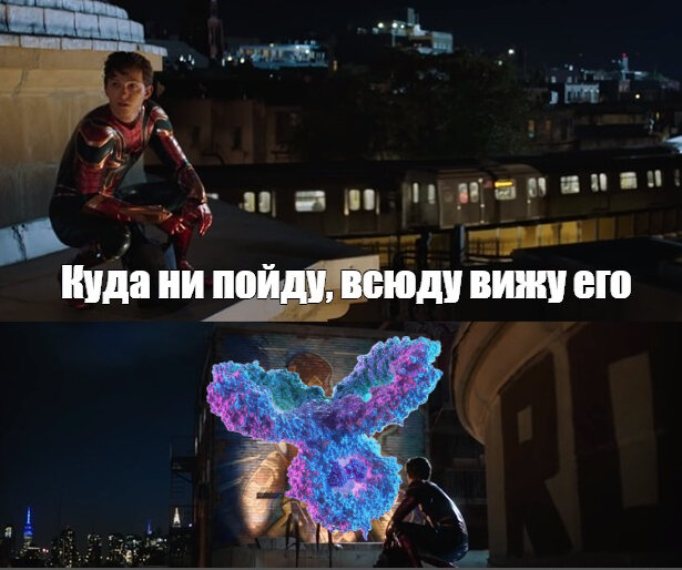 И опять всё сводится к антителам