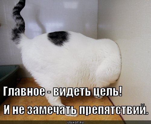 Картинка из открытых источников