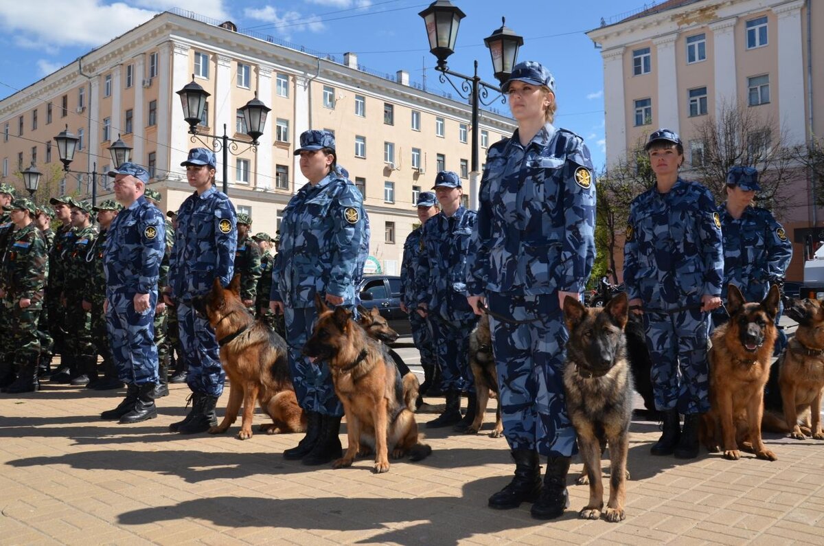 Солдаты. Все сезоны