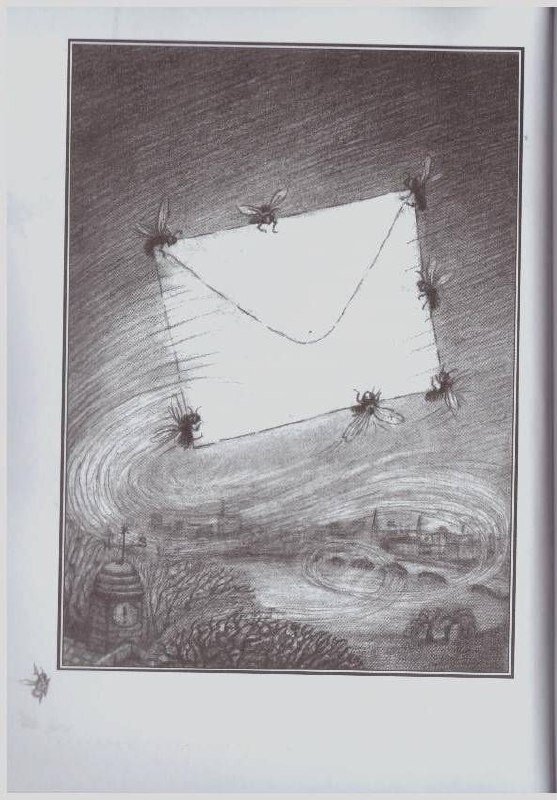 Фотография взята из открытых источников.