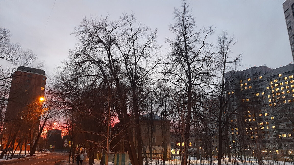 Фото автора : Зимняя Москва, СВАО.