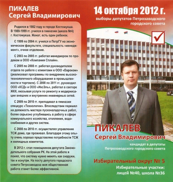 Предвыборная программа образец