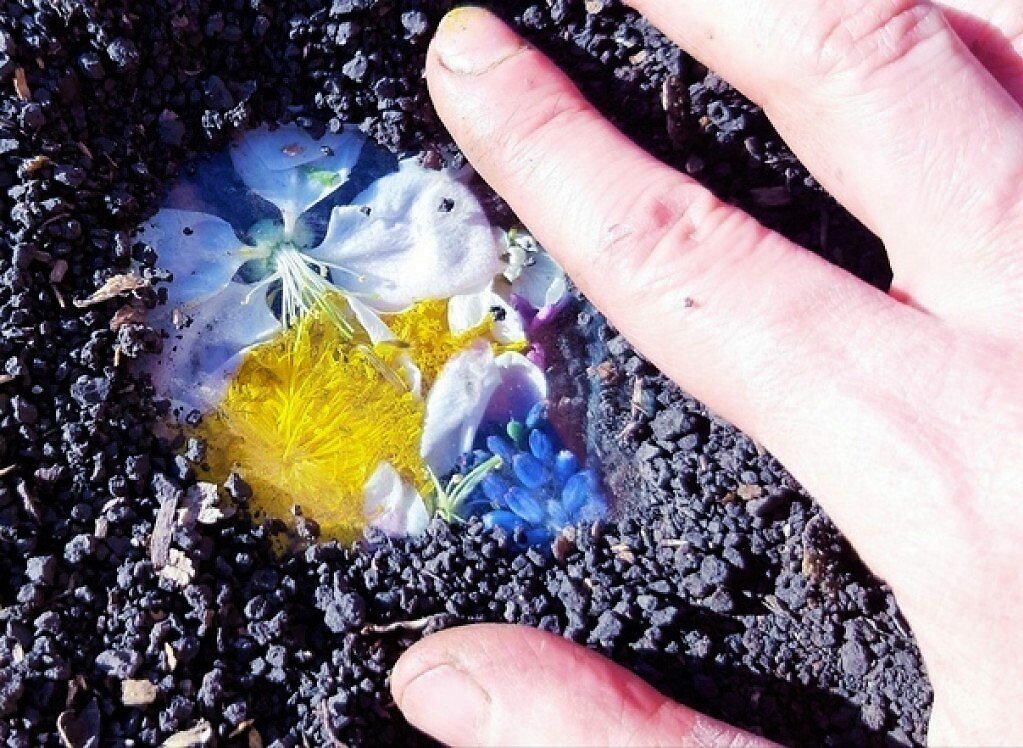 Фото из свободных источников