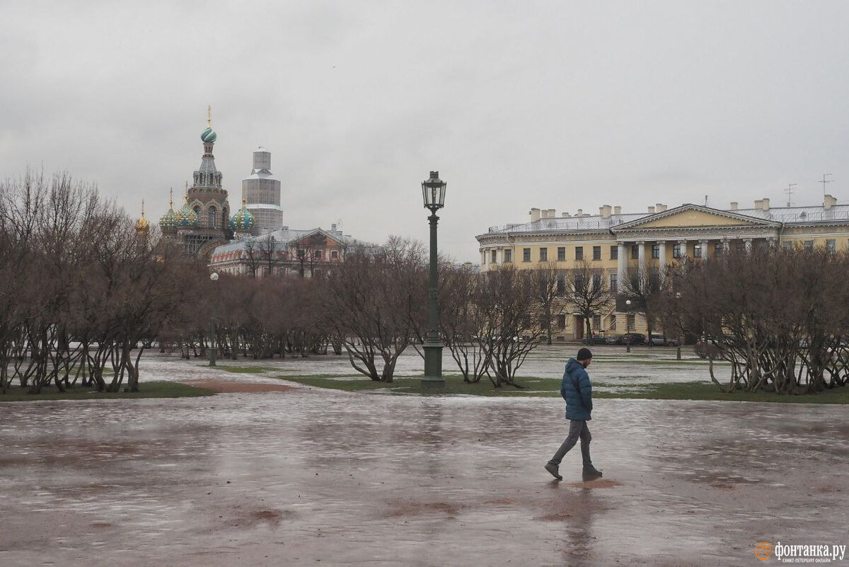   
 Фото: Михаил Огнев/«Фонтанка.ру»