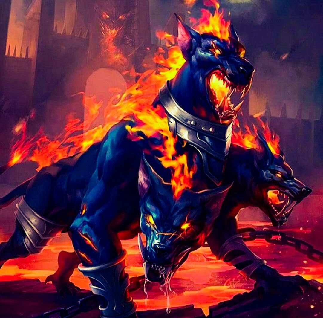 Фото из открытого источника 