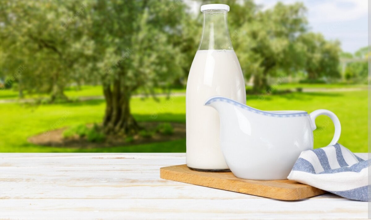 Фото из Интернета.