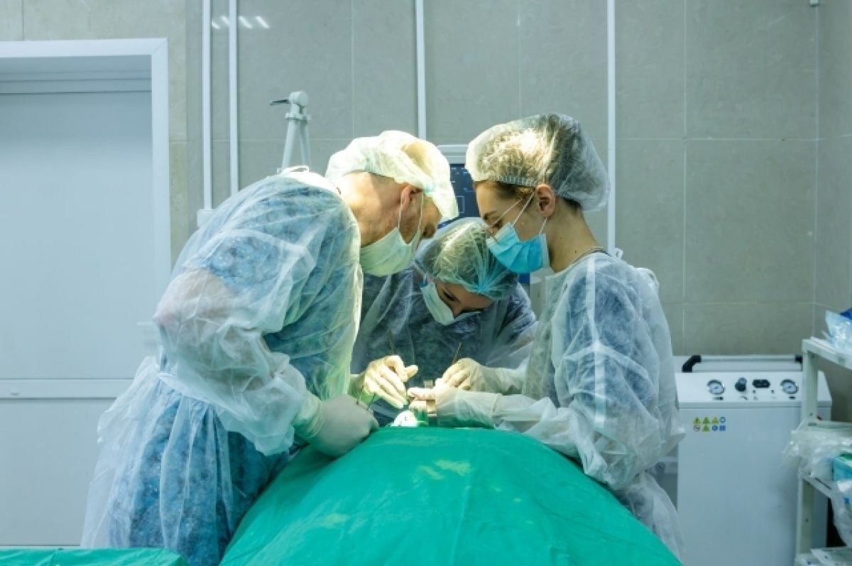    В правительстве Заполярья рассказали, каких врачей не хватает в регионе