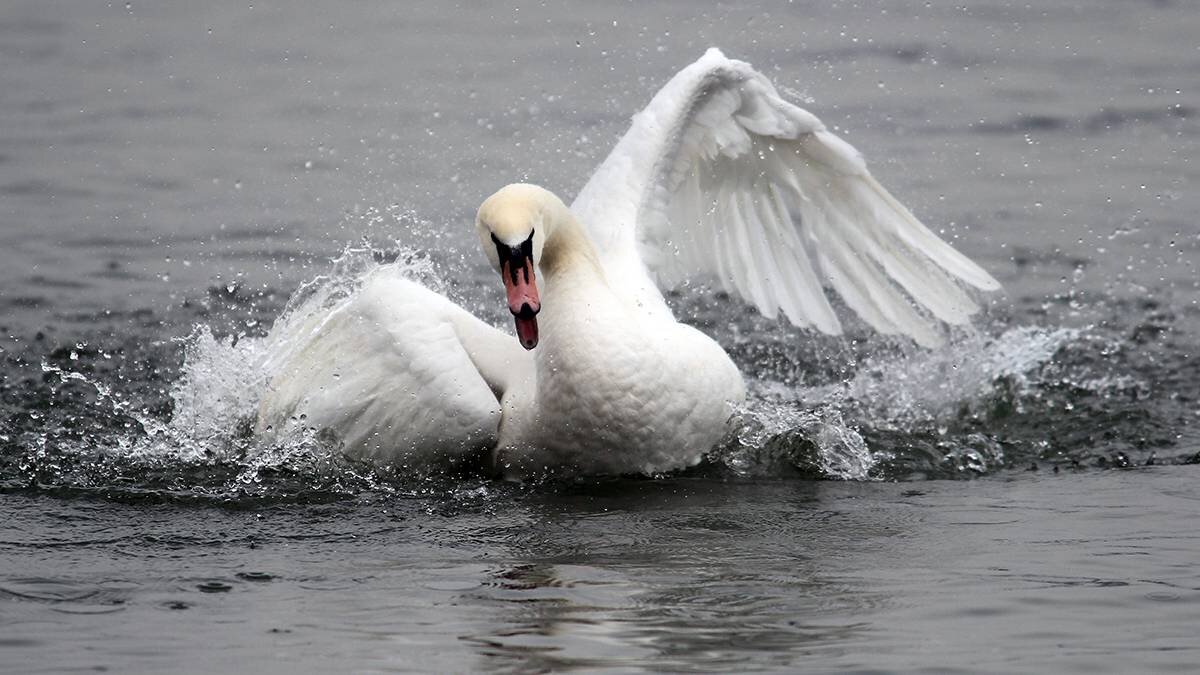    Фото: shutterstock