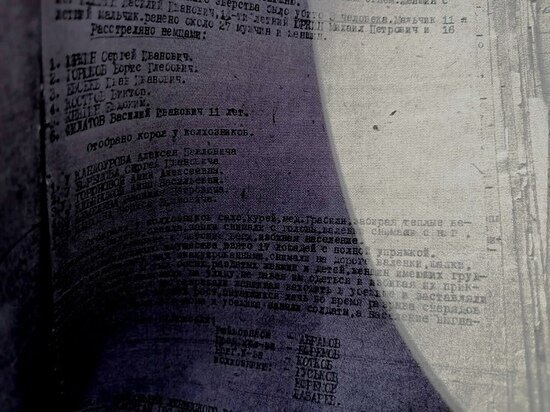     фото: МК в Туле