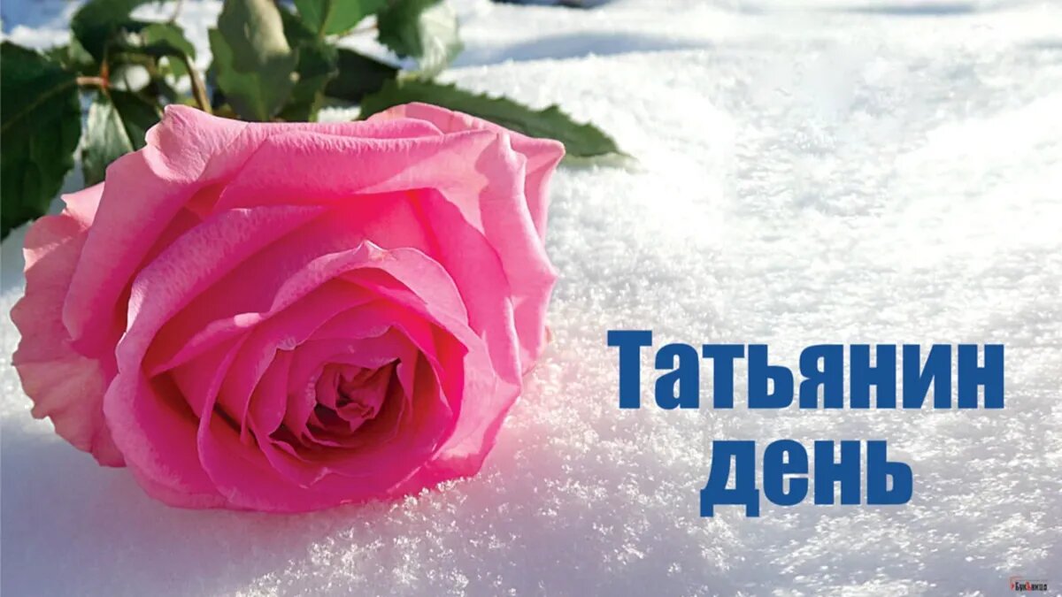 Татьянин день. Иллюстрация: «Весь.Искитим»