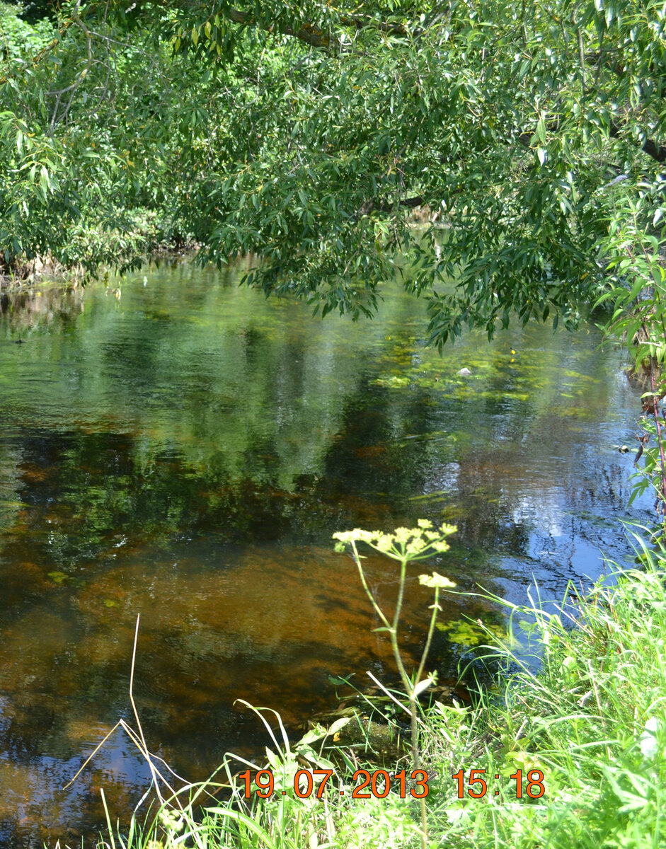 Вода Ирпени.