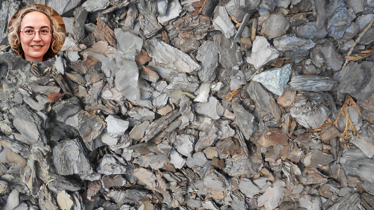 А чтобы сохранить почву увлажненной, я рекомендую мульчировать пионовые клумбы с помощью коры или щепы. Такой слой также сыграет роль надежной защиты корней растения от перегрева. 