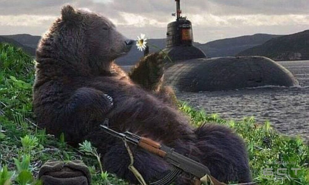 Русский медведь с автоматом