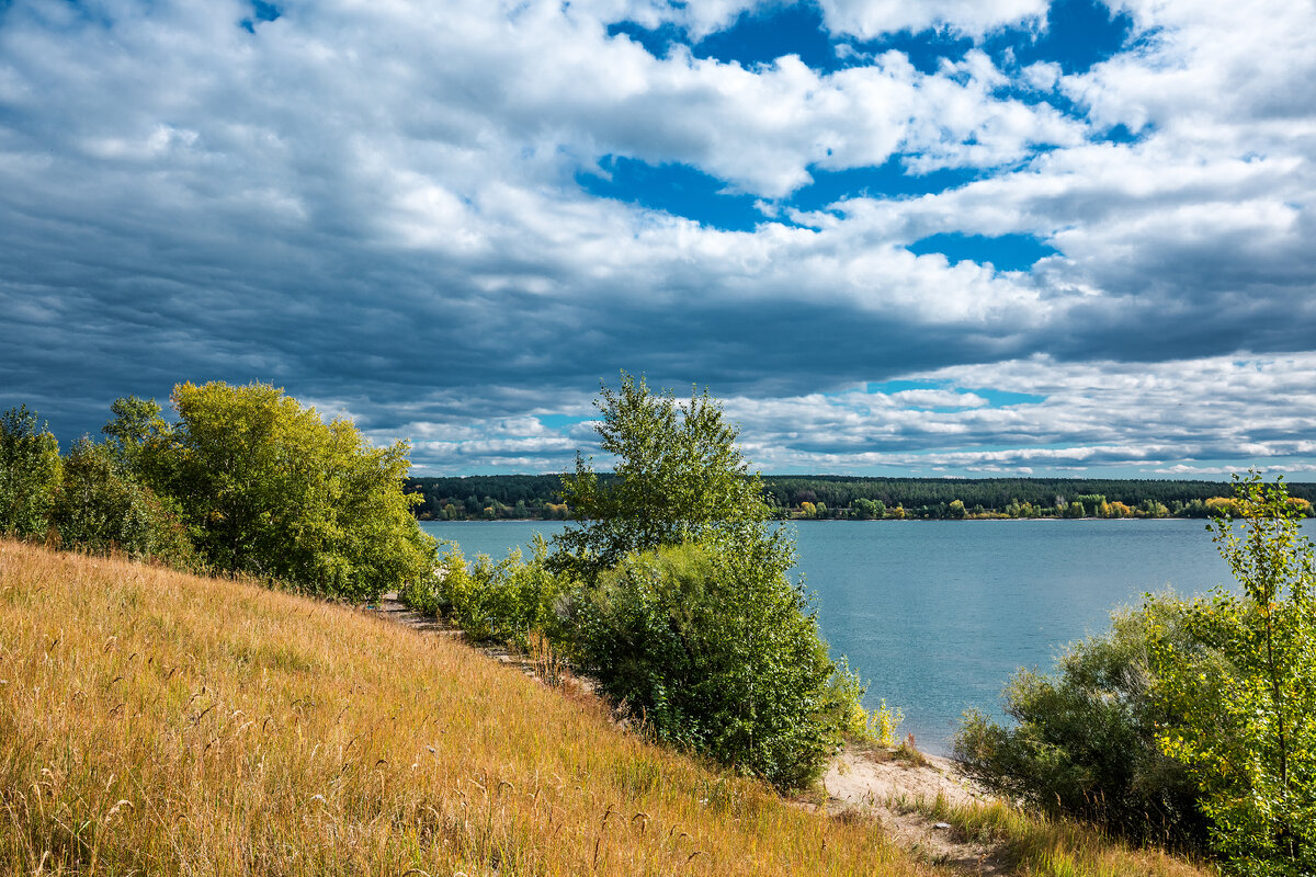 Бердская коса, Бердский залив - красивые места в городской черте. Бердск,  Западная Сибирь. | Сибирь в объективе. Евгений Мухортов | Дзен