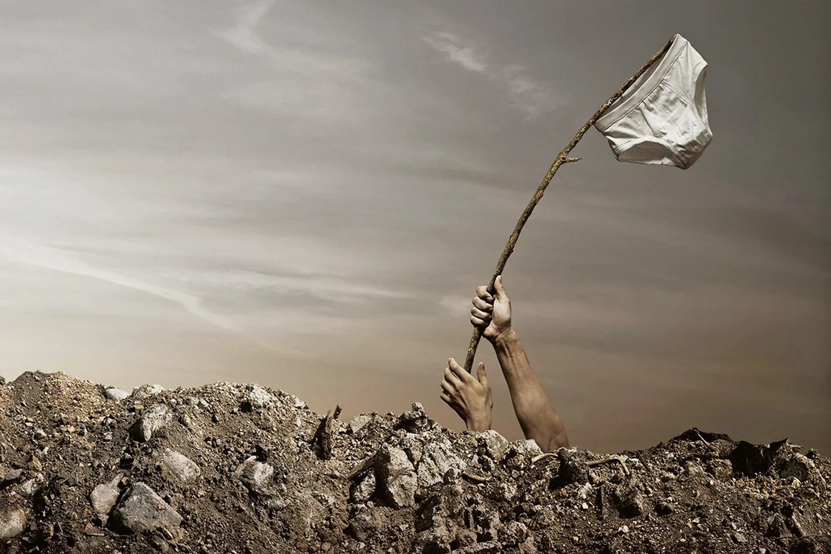 Яндекс Картинки