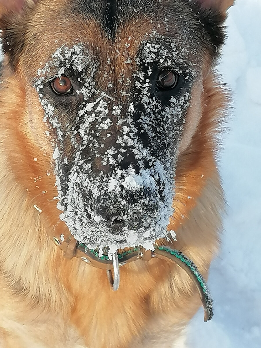 Моя красотуля 