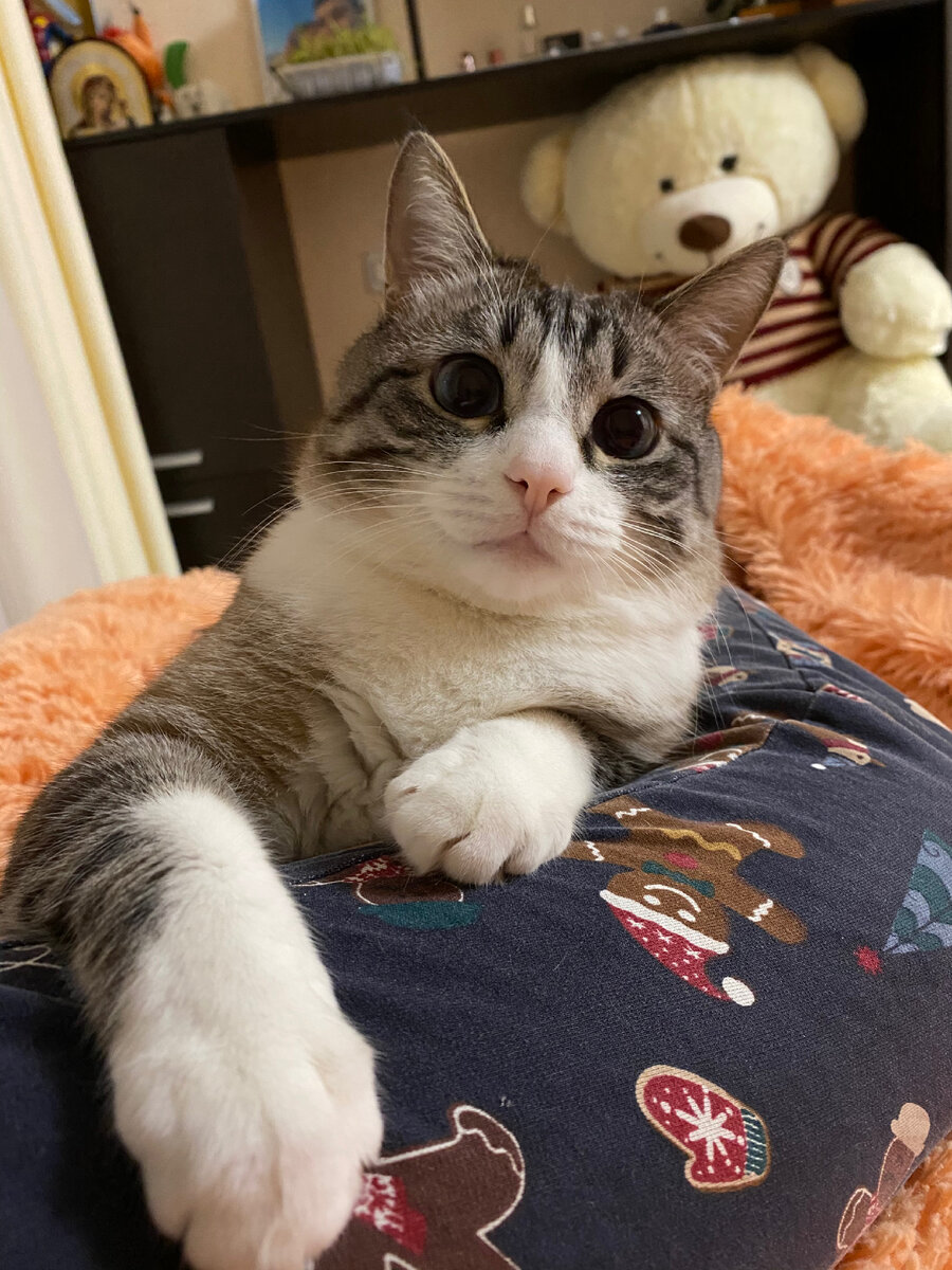 Просто попросил написать стих о себе и смотрите, что мне выдали…

@GPTtg_bot

За стеной в дальнем доме
Живет простой человек Андрей.
Он искренний, добрый, хороший
И по улицам гуляет.
Он рассказывает всякие истории,
Всем улыбается и всему учит.
Никто не останется равнодушным,
Когда Андрея увидит.
Он мудрым советом одарит,
Знает, что случилось вчера.
Всем помогает, всё понимает,
Выдающимся человеком станет.

Короче, пользуйтесь не благодарите 🙂 