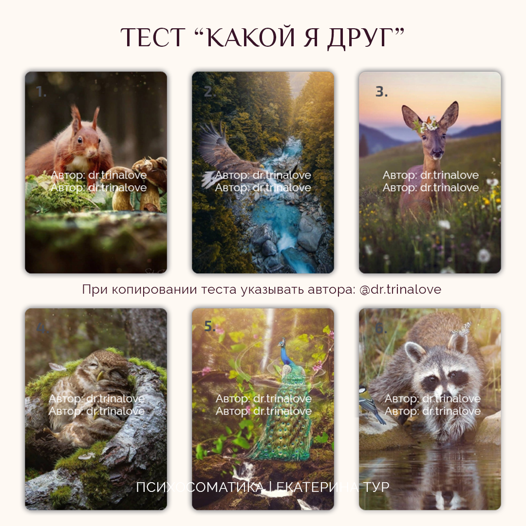 При копировании теста указывать источник, это авторский метод, входящий в торговый знак "Реэнергия". При отсутствии источника вы нарушите закон об авторской праве.