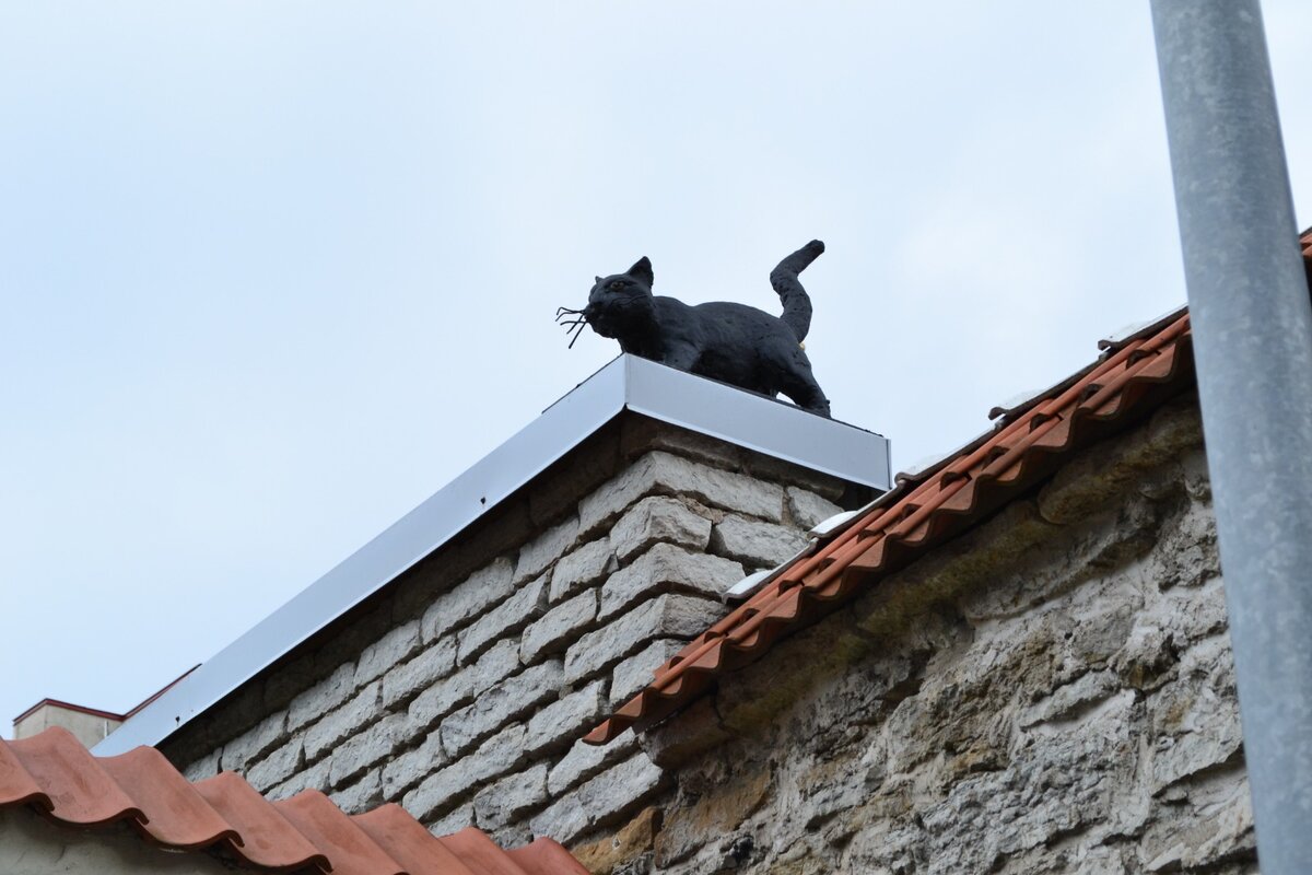 Таллин. Фото автора