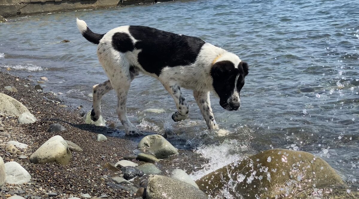 Фото, которое нами было выбрано за основу для портрета Севы. 