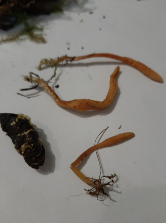 Фото Ольги Цыгановой. 