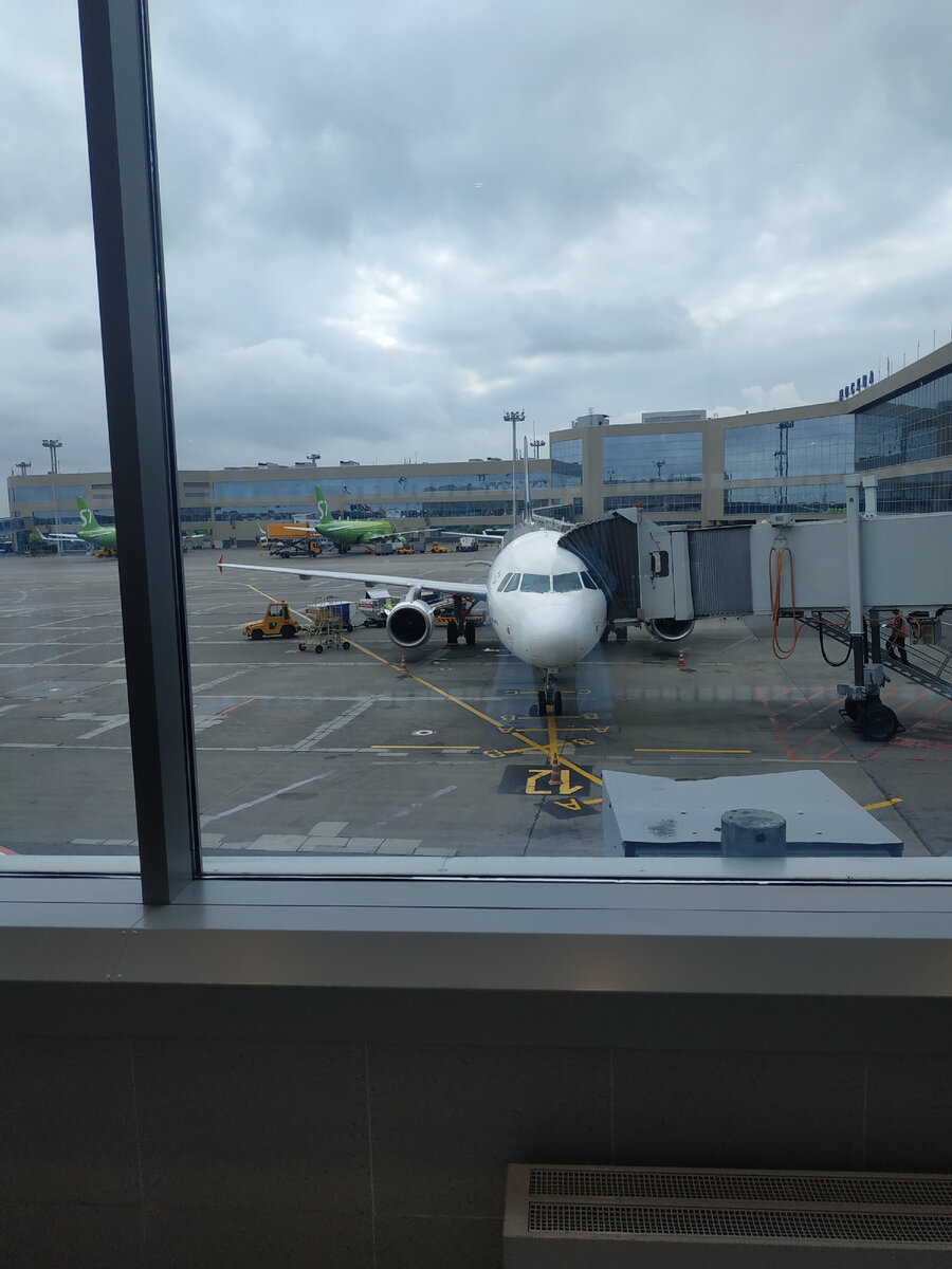 Самолёт в Домодедово 