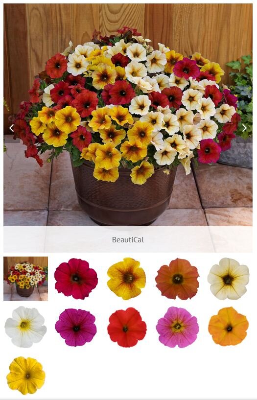 Петхоа BeautiCal. Скриншот с официального сайта Sakata