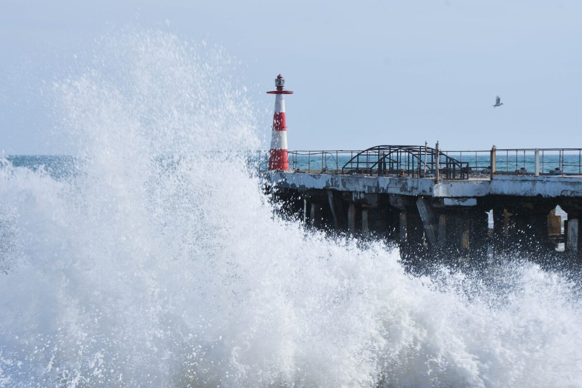 воссоединение крыма с россией. площадь крымского заповедника. 18 выходной в крыму. крым и кубань. 18 выходной в крыму.