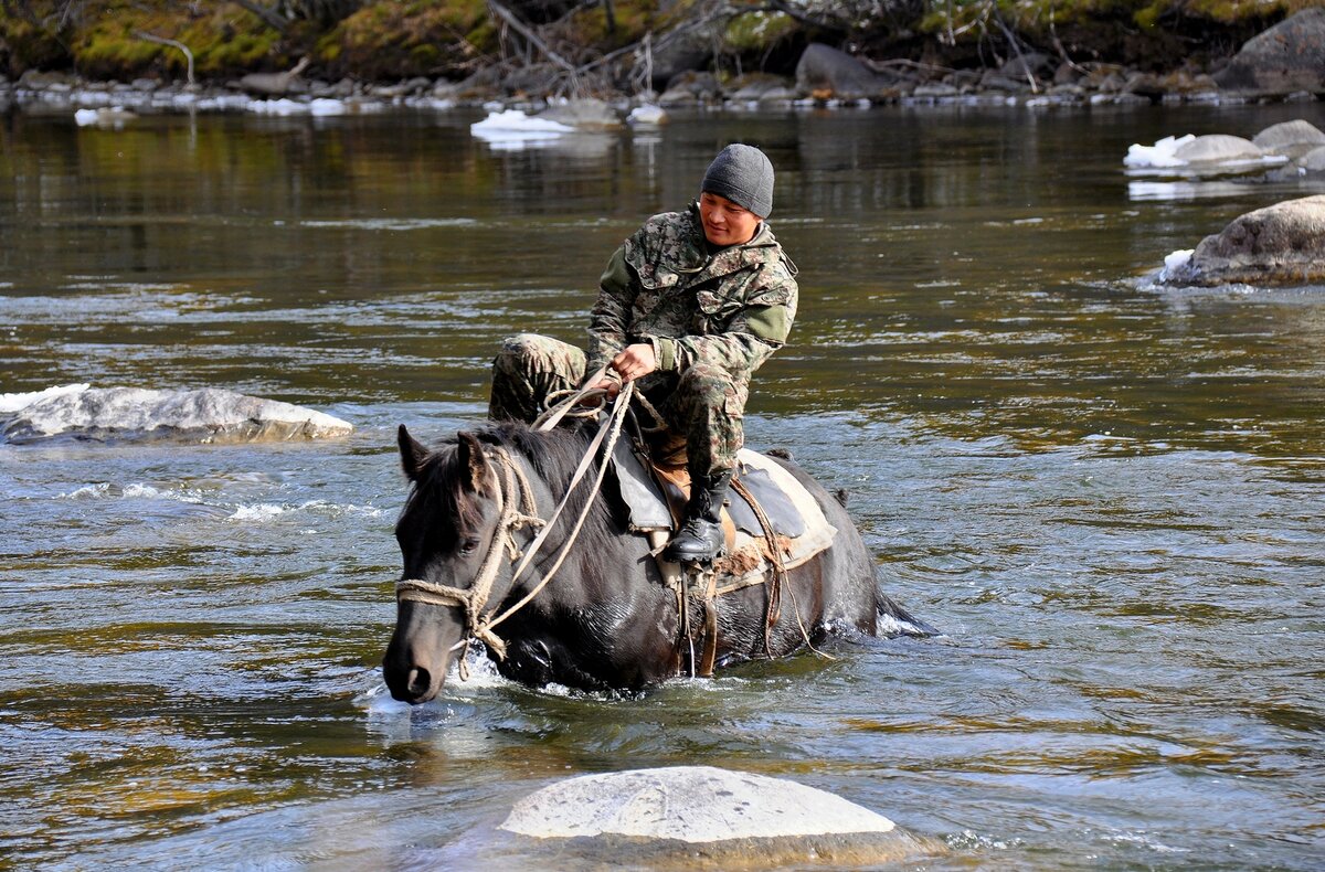 На броде через реку Чулышман вверх по течению от кордона Язула. (Автор всех фото к статье - Светлана Усанова).