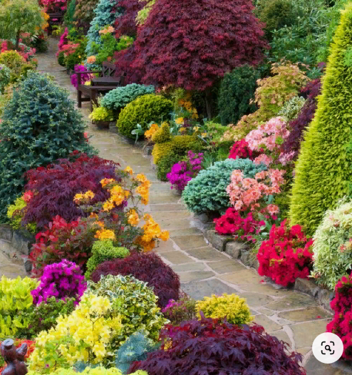 фото из Pinterest