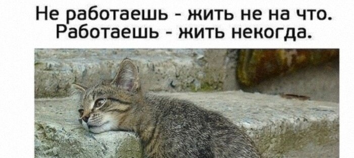 Картинка взята из Интернета. Правда жизни для простых людей с улицы, которые ищут работу