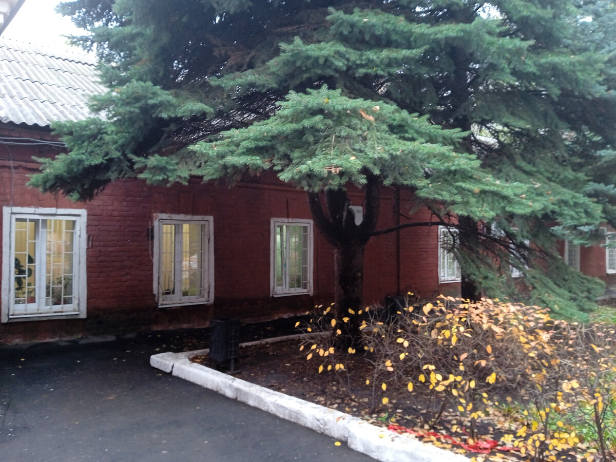 Одноэтажная пристройка к 4-х этажному корпусу