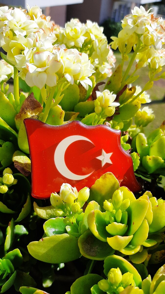 Очень хотела сделать фото флага Турции в цветах ))