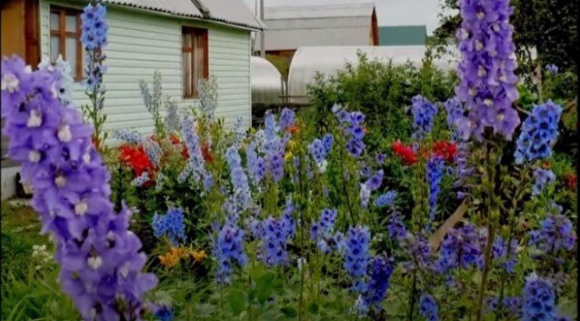 Фрто из личного архива автора. Вечерняя съемка