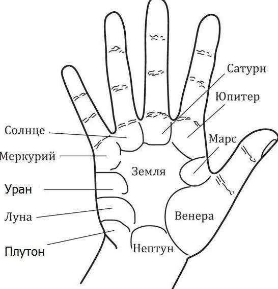 За что отвечает большой палец на руке. Безымянный палец левой руки хиромантия. Холм Меркурия хиромантия. Холм урана на ладони хиромантия. Линии и холмы на руке.